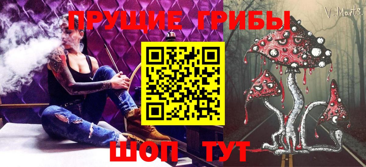 Псилоцибиновые грибы мицелий Лесозаводск