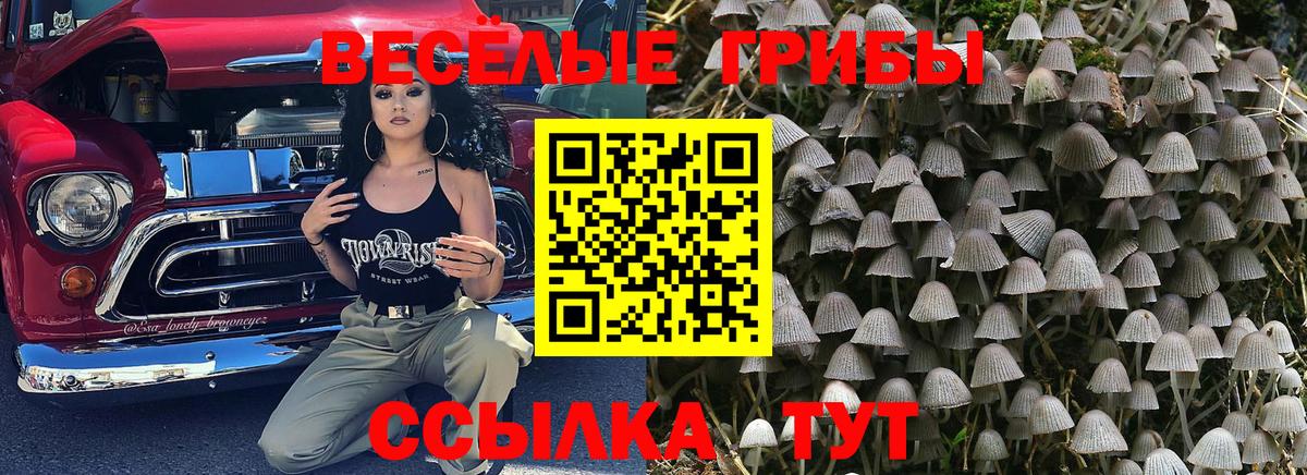 Псилоцибиновые грибы мухоморы  Галлюциногенные грибы GOLDEN TEACHER  даркнет сайт  Вход с VPN  Лесозаводск 